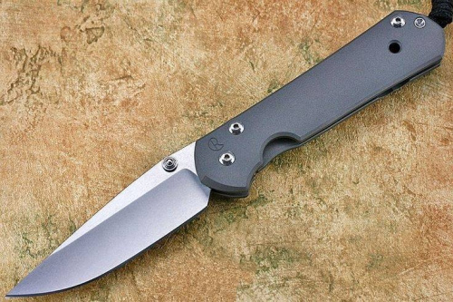 3810 Chris Reeve Large Sebenza 21 Polished Blade фото 8
