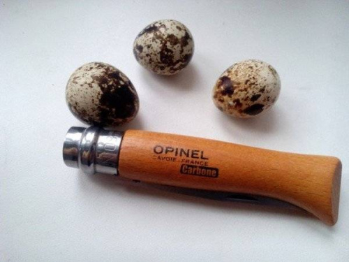Складной нож Opinel №7 VRN Carbon фото 4 Складной нож Opinel №7 VRN Carbon фото 4