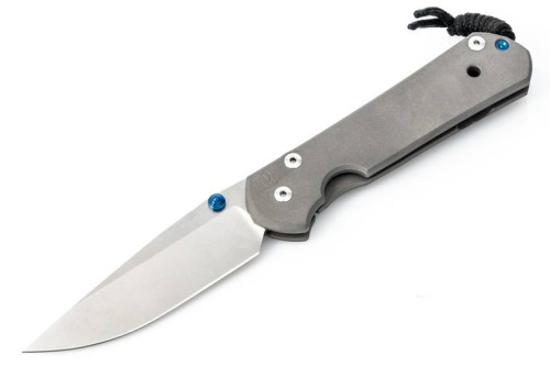 3810 Chris Reeve Large Sebenza 21 Polished Blade фото 9